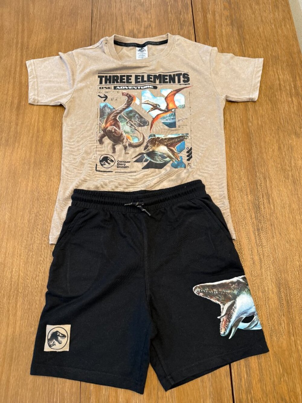 Jurassic World Boys 2-Piece T-Shirt & Shorts Set Size 10/12